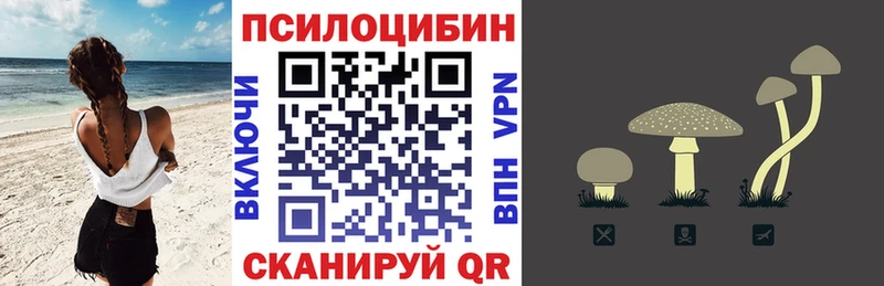 Псилоцибиновые грибы Cubensis  продажа наркотиков  Благовещенск 